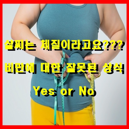 [영등포헬스장 / 영등포PT / 영등포에이블짐] : 살찌는 체질이라고요? 비만에 대한 잘못된 상식 Y / N