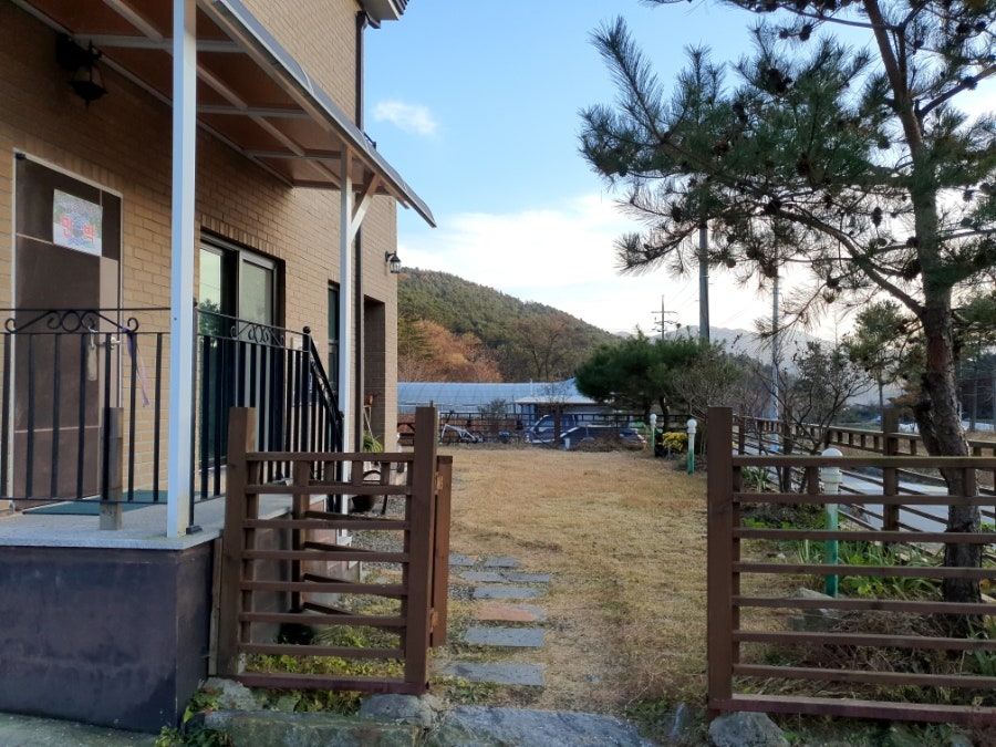 청산블루베리 사진 6