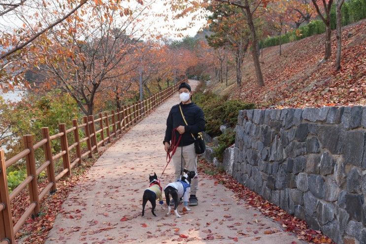  경주 강아지 산책로 보문호반길&다시 찾은 숨은 공원