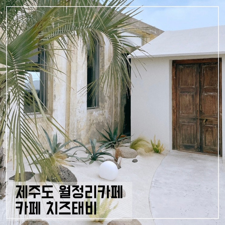  제주도 월정리카페 카페치즈태비; 젤리소다가 맛있는 휴양지느낌 카페