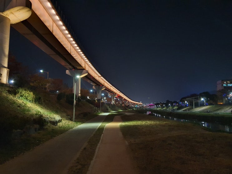 11월 1주차 <산책>