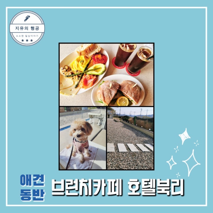  용인 애견동반ㅣ호텔북리 - 브런치카페 맛집 내돈내산 퍼푸치노