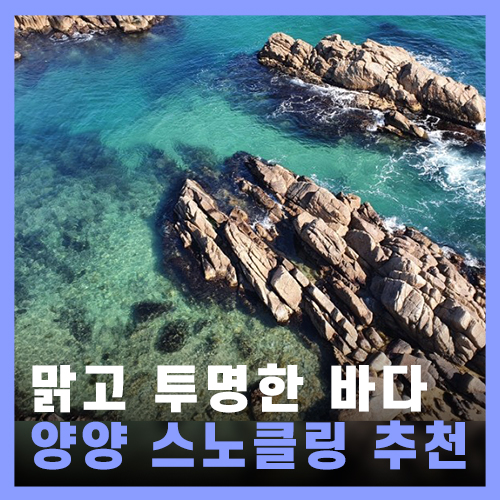  [양양] 하조대 전망대, 기사문 등대 / 스노클링 명소 추천&팁