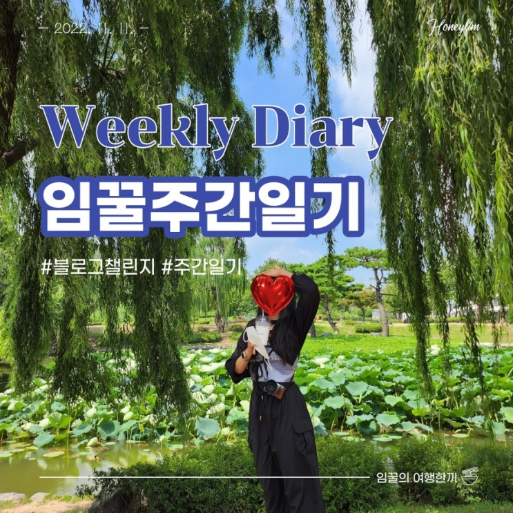  임꿀 주간일기 11월 2주차