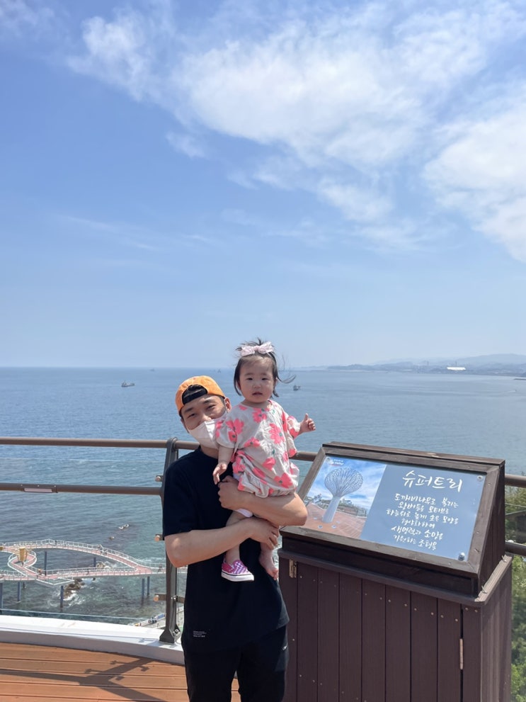  업로드 리스트