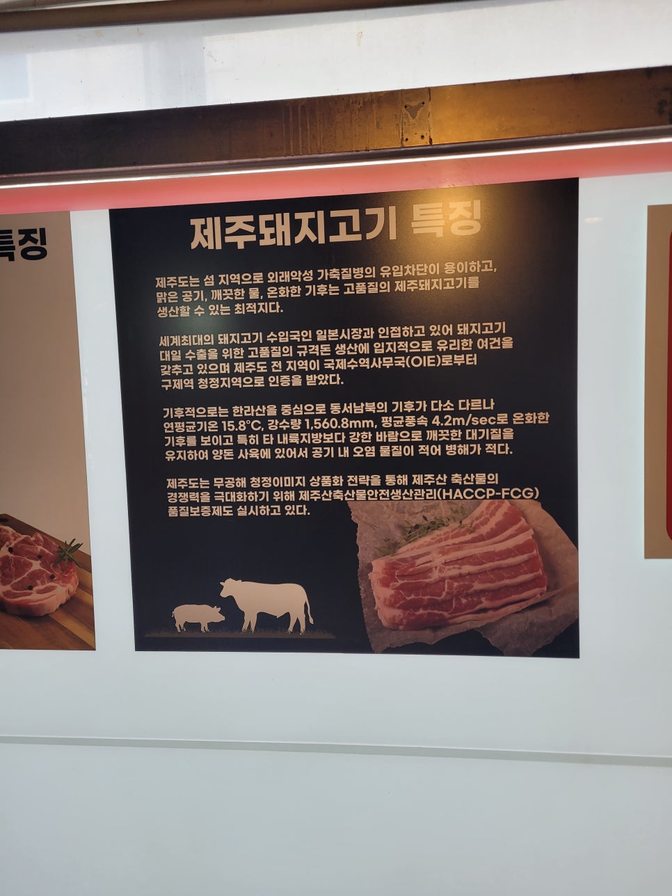 고먹 사진 2