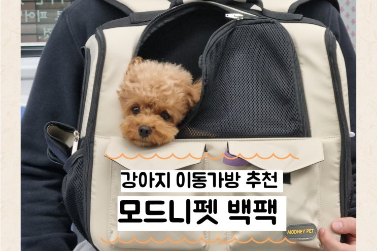  가벼운 강아지 백팩 추천 , 모드니펫 실사용 후기