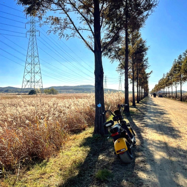  [대부바다향기테마파크] 대부도 여행, 안산 여행, 대부도 데이트, 대부도 전동바이크, 대부도, 가을여행