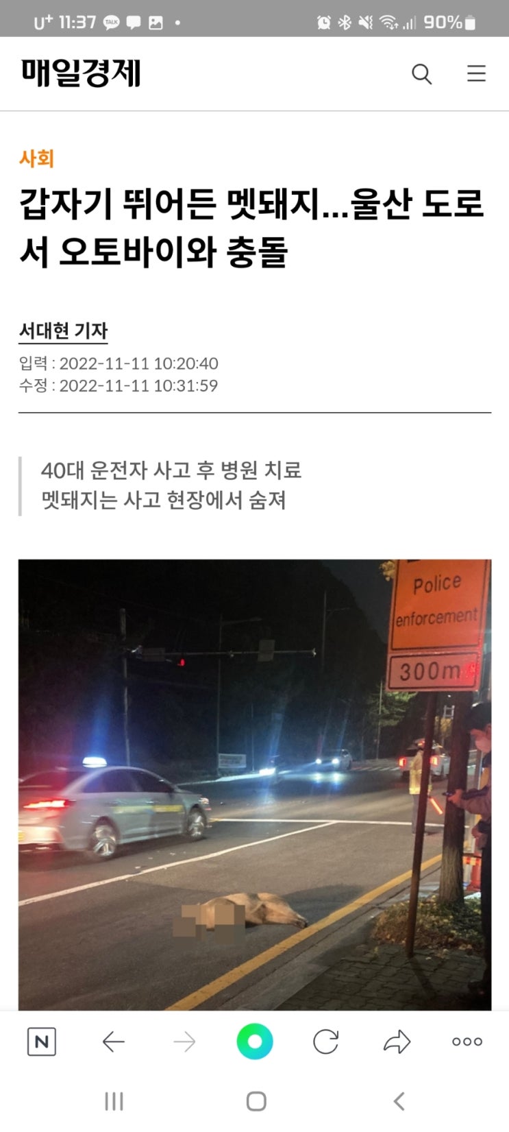  갑자기 뛰어든 멧돼지...울산 도로서 오토바이와 충돌
