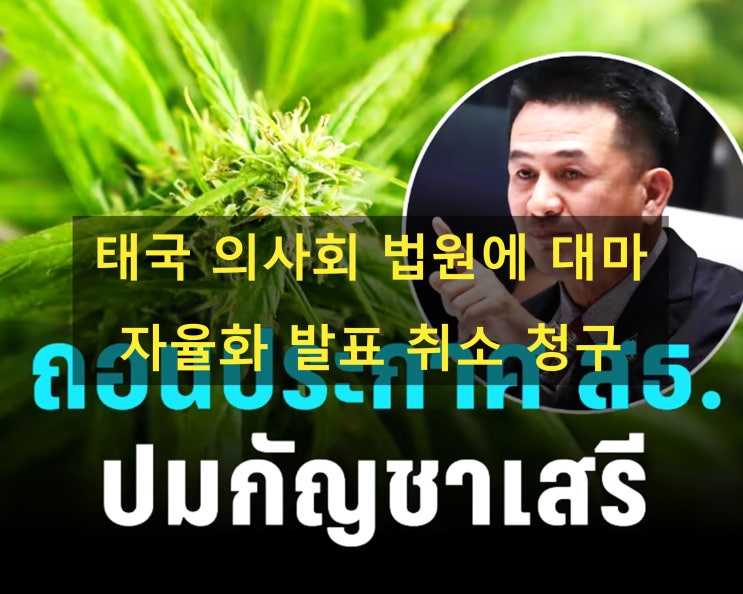  태국 의사회 법원에 대마 자율화 발표 취소 청구 - 한영 태국 뉴스
