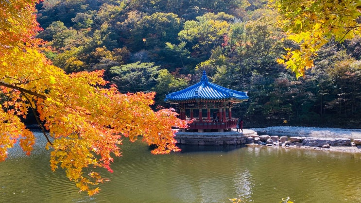  [전북 정읍시] 가을 단풍구경 명소 '내장산국립공원'