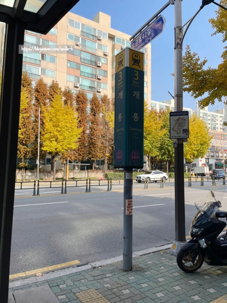  개롱역 디저트 카페 _카페 정성