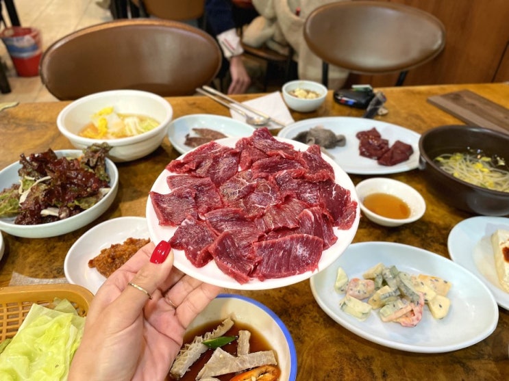  대구 동성로 향토 음식 40년 전통의 뭉티기 오드레기 맛집 녹양 향촌점