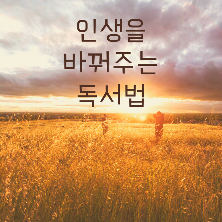  인생책을 찾고 나만의 책으로 만들자