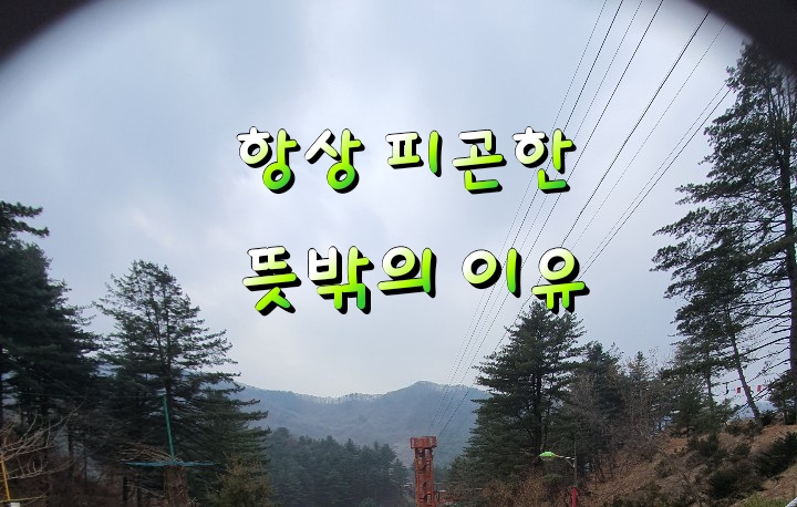 항상 피곤한 뜻밖의 이유!