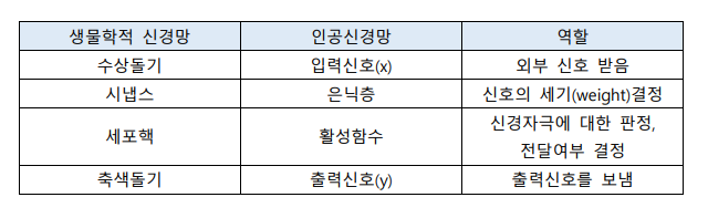  R : 인공 신경망(Artificial Neural Network)