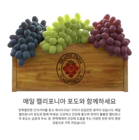 11월 11일 캐시워크 돈버는퀴즈 캘리포니아 포도 정답