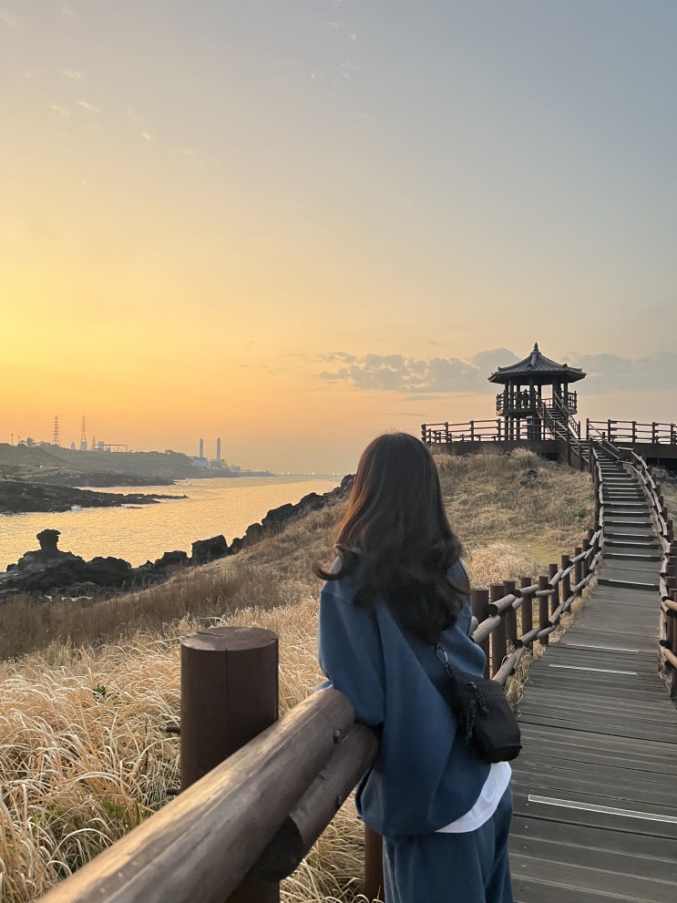  제주도 여행 1일차, 사려니 숲길과 닭머르해안, 수목원길 야시장 (주차 꿀팁!)