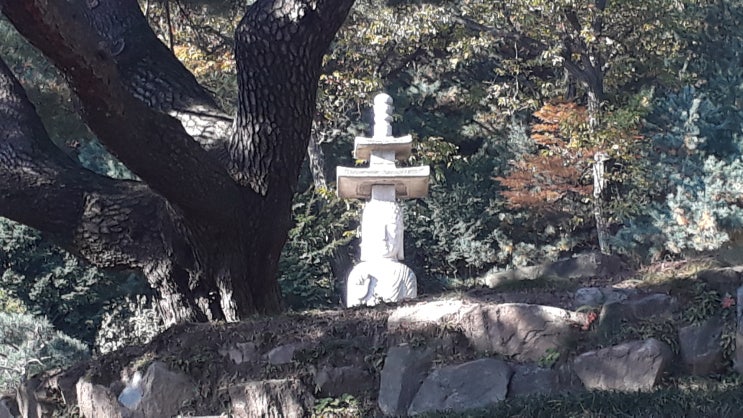  중랑구 작명: 중랑구 사주 #동하사주타로작명원(이동하작명원) #성명학 #발음오행 #토(土)성씨의 발음오행해설