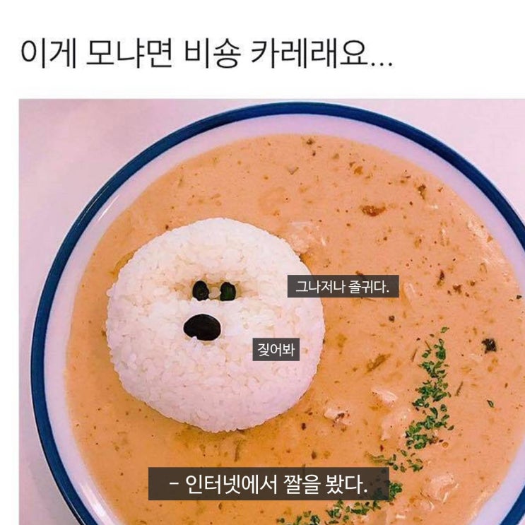  [고전] 5년전 카레 해먹던 레시피 (그런데 이제 페이스북 감성을 곁들인)