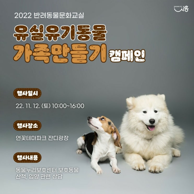 시흥시 『유실유기동물 가족만들기 캠페인』을 소개합니다!!