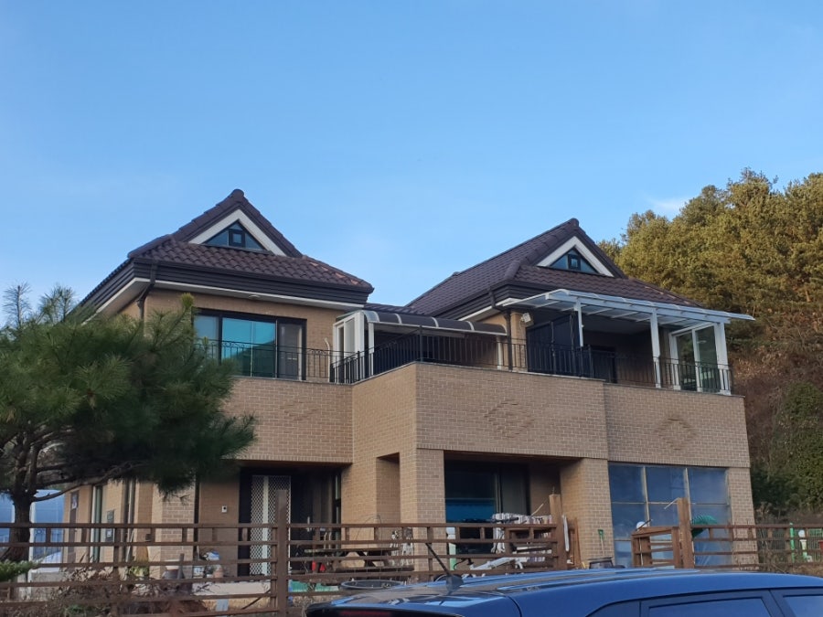 청산블루베리 사진 4