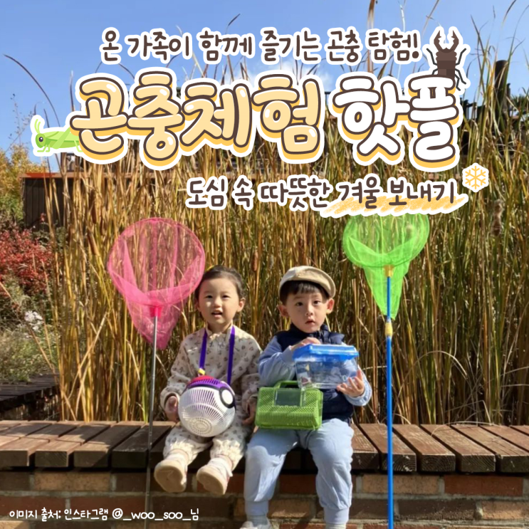  [곤충체험 핫플 : 서울특별시 편] 온 가족이 함께 즐기는 곤충 탐험! 도심 속 따뜻한 겨울 보내기