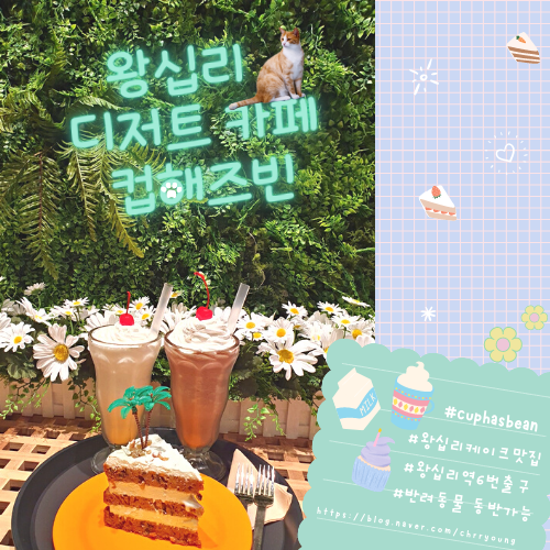  [왕십리 빈티지 카페] 컵해즈빈