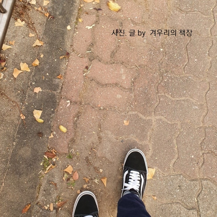  매일 운동하기. 작심 4일