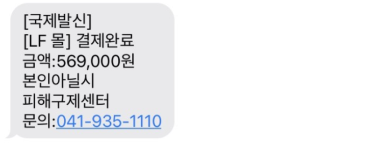  [LF 몰] 결제완료 금액:569,000원 본인아닐시 피해구제센터