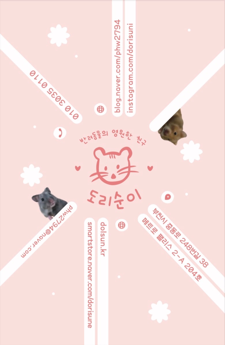 꼬물이 드워프햄스터가 도리순이에 왔어요~~ : 네이버 블로그 꼬물이 드워프햄스터가 도리순이에 왔어요~~ : 네이버 블로그