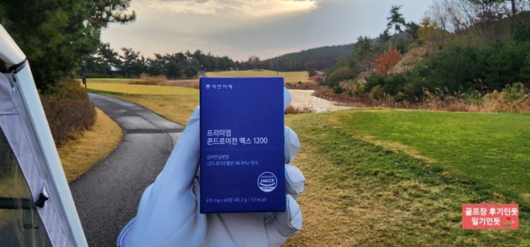  저분자콘드로이친 추천(자연지애 프리미엄 콘드로이친 맥스 1200)