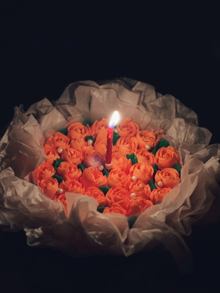  생일주간일기 잊지못할 33살 생일