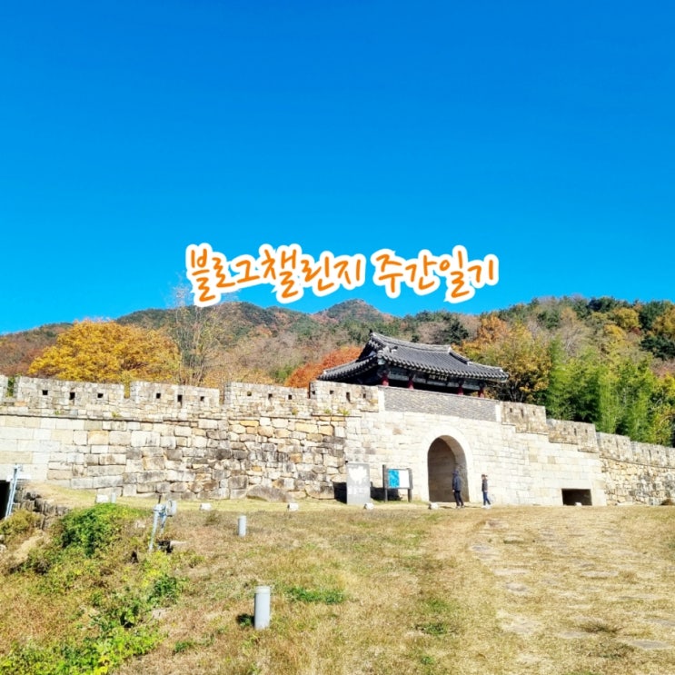  [블챌] 블로그챌린지 주간일기  11/4~11/10