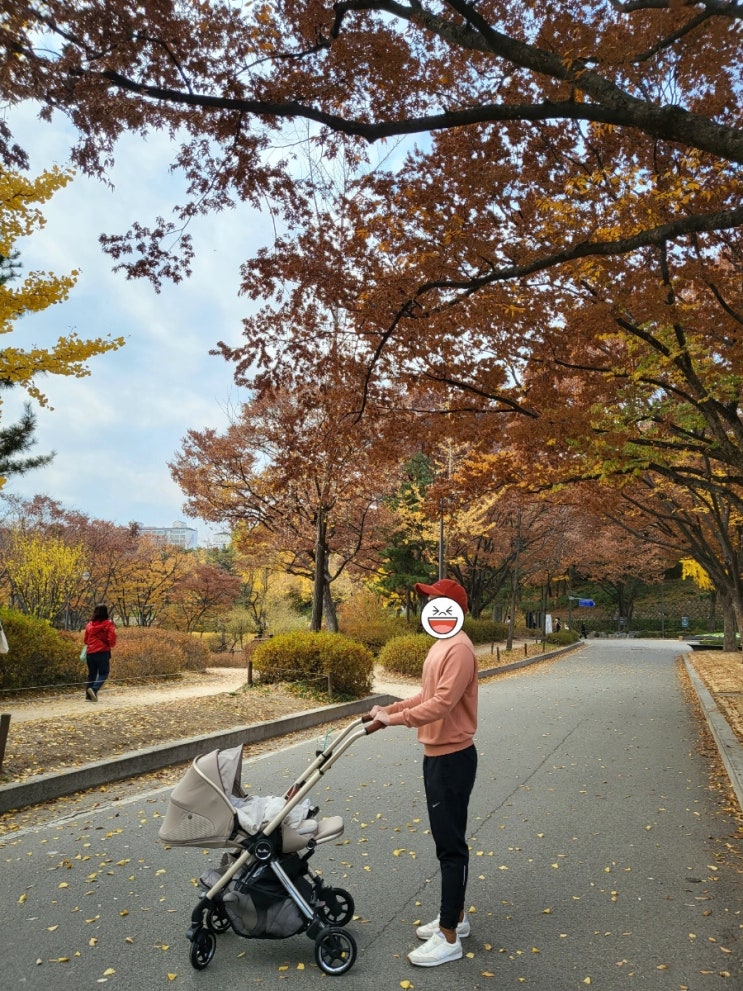  보라매공원 단풍 나들이 - 신생아 애기 육아 유모차 실버크로스