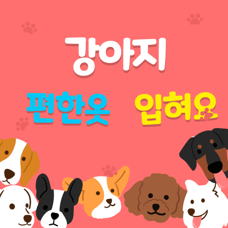  강아지옷 입기 싫어하는 이유 편한 애견옷
