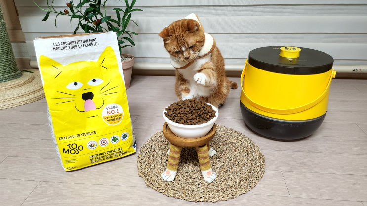  고양이 알러지사료 토모조 마이통 진공사료통으로 매일 신선하게