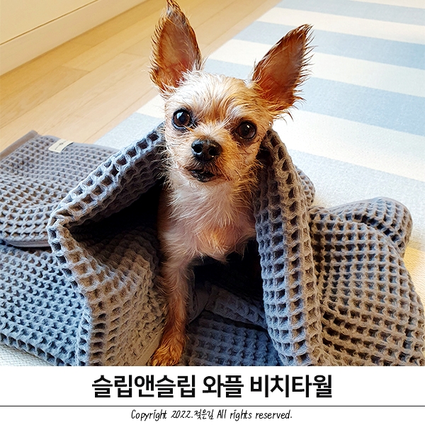 빨리마르는수건 흡수력 대박 슬립앤슬립 와플비치타월 빨리마르는수건 흡수력 대박 슬립앤슬립 와플비치타월