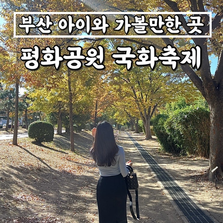  평화공원 국화축제 • 부산 아이와 가볼만한 곳