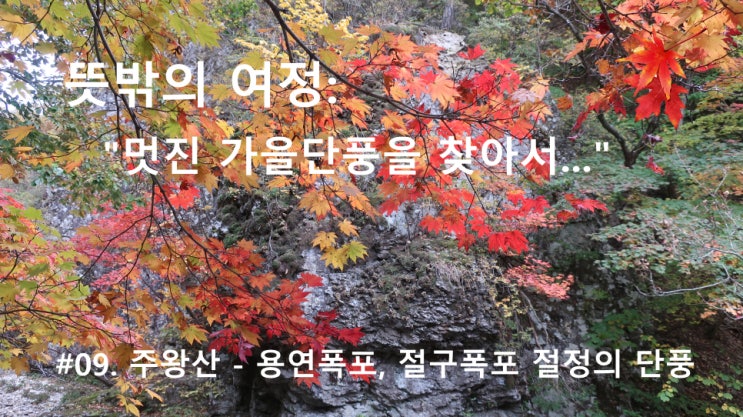 #09. 주왕산 - 용연폭포, 절구폭포 절정의 단풍