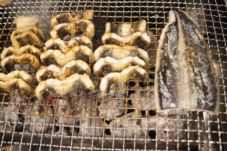 압구정역장어 장어소금구이가 맛있는 어영차 풍천민물장어