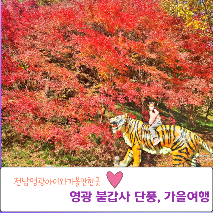  영광 불갑사 11월 단풍 아이와 가을여행