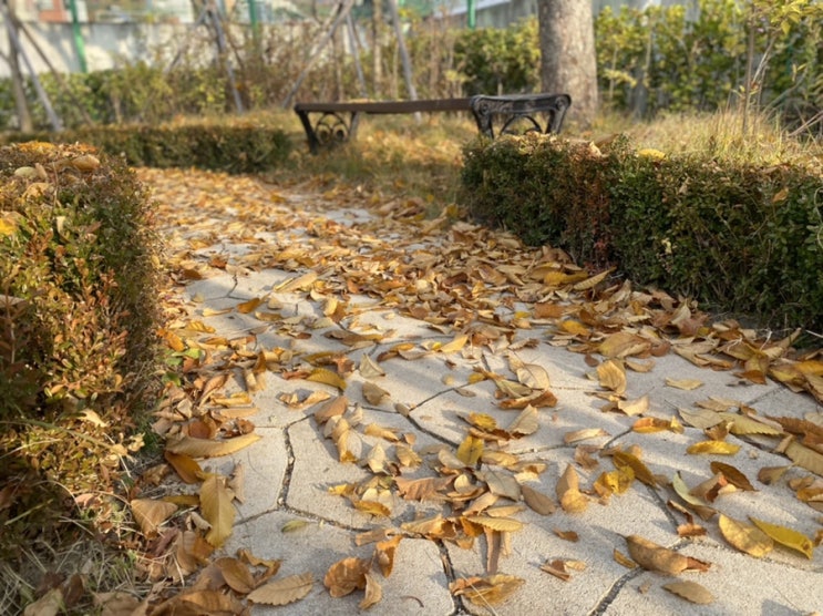  일상기록 복근운동 30일 챌린지