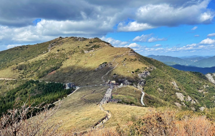  행복했던 영남알프스 간월산/신불산/영축산 3산 인증 산행