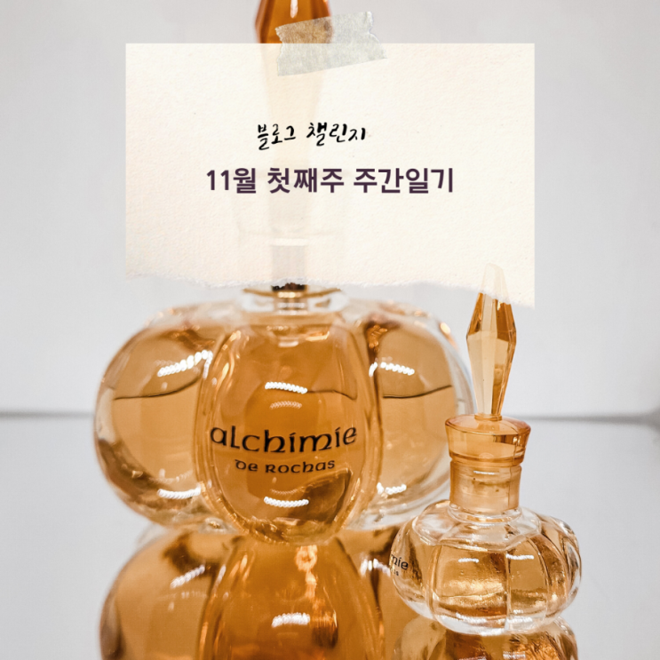  블챌 주간일기 11월 첫째주 주간일기