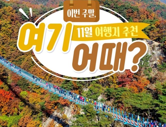 이맘때 딱 가볼만한 여행지 추천 해드릴께요. 이맘때 딱 가볼만한 여행지 추천 해드릴께요.