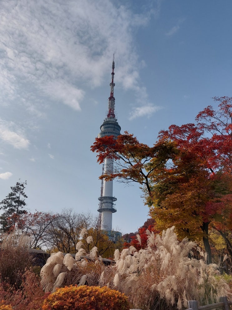 가을 단풍 남산 타워 길 가을 산책 가을 단풍 남산 타워 길 가을 산책