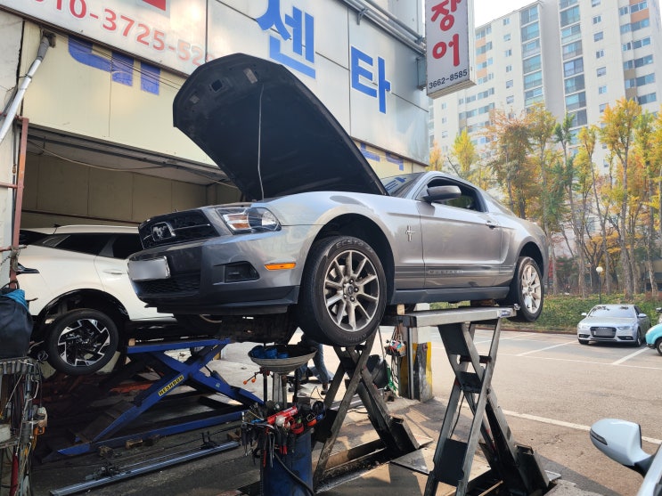 포드 머스탱 엔진오일 교환 비용 비교 서울 강서구 저렴한 곳 포드 머스탱 엔진오일 교환 비용 비교 서울 강서구 저렴한 곳