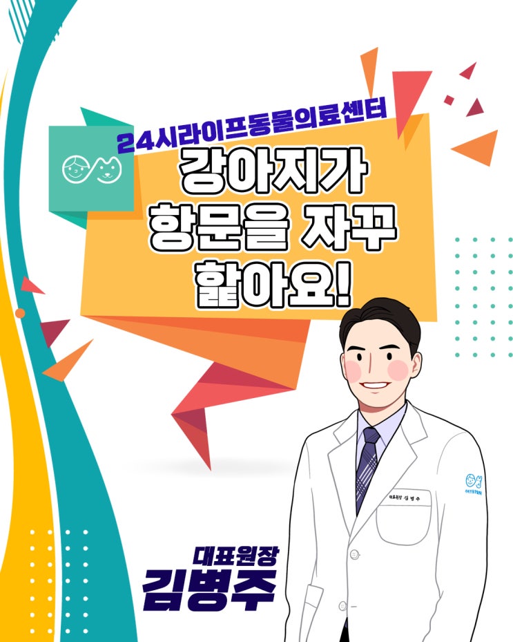 대구 24시동물병원 : 강아지 똥꼬스키 / 강아지가 자꾸 엉덩이를 핥고 비비는 이유는?