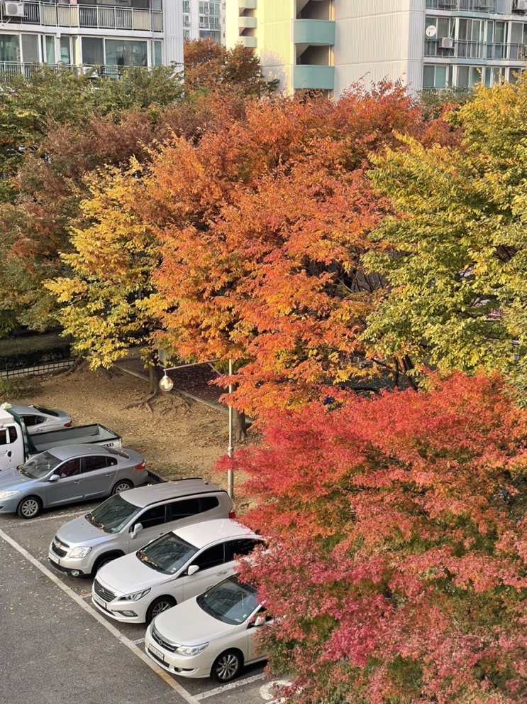  [블챌] 주간일기 첫 도전..!
